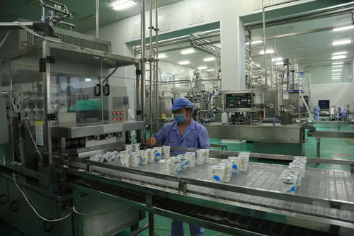 库尔勒经济技术开发区获评自治区级绿色园区示范